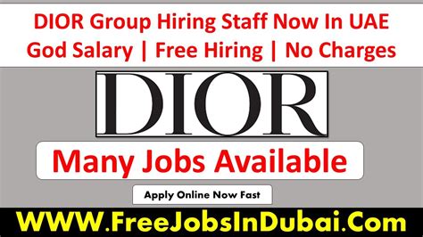 dior job|dior job opportunities.